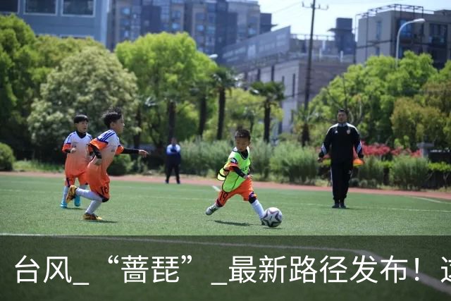 台风 “蔷琵” 最新路径发布！这个时段风雨最强→