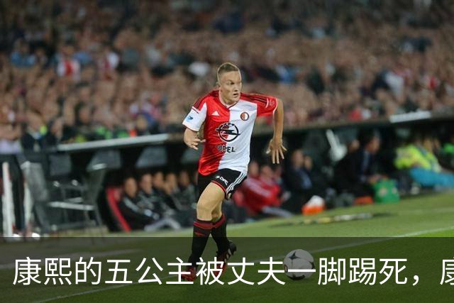 康熙的五公主被丈夫一脚踢死，康熙得知后，报复手段实在毒辣