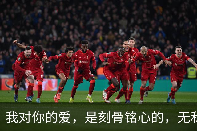 我对你的爱，是刻骨铭心的，无私奉献的