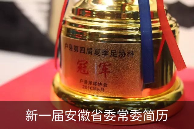 新一届安徽省委常委简历