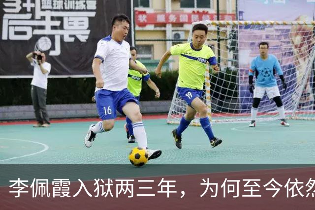 李佩霞入狱两三年，为何至今依然被炒作？