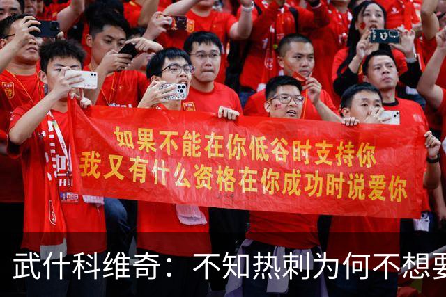 武什科维奇：不知热刺为何不想要我，但我很高兴加盟布莱顿