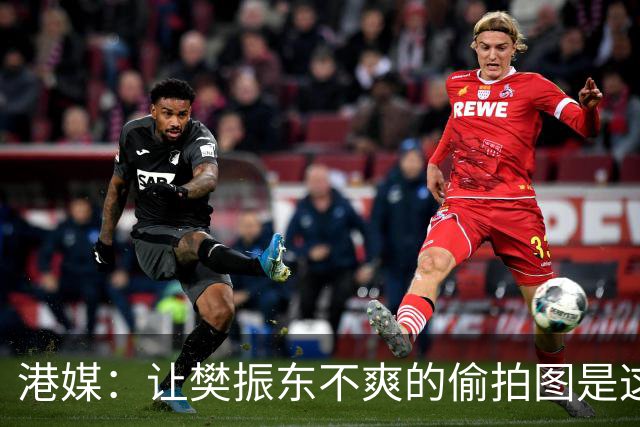 港媒：让樊振东不爽的偷拍图是这张 这位超级粉丝经常“偶遇”小胖