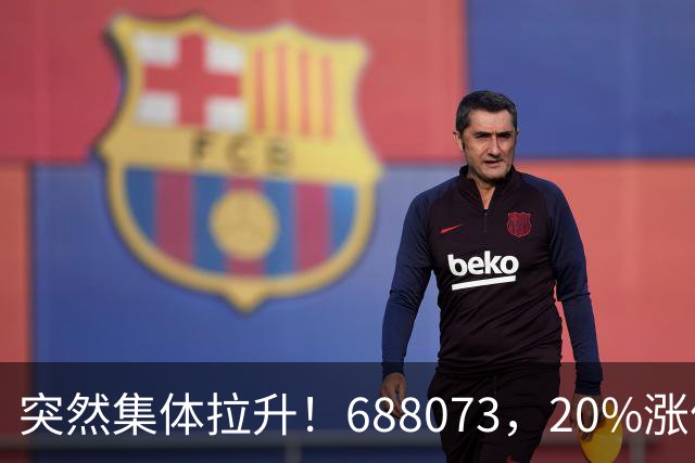 突然集体拉升！688073，20%涨停