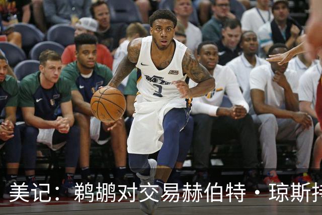 美记：鹈鹕对交易赫伯特·琼斯持开放态度 他们希望换回两个首轮