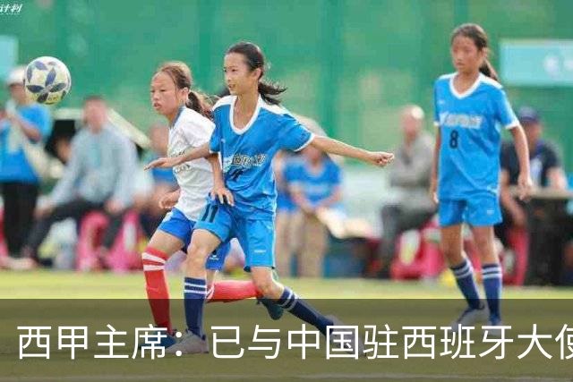 西甲主席：已与中国驻西班牙大使会面 寻求解决办法