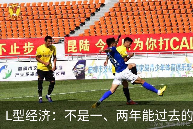 L型经济：不是一、两年能过去的