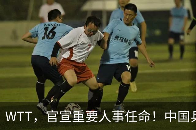 WTT，官宣重要人事任命！中国乒乓52岁美女被提拔，，走马上任总监岗位